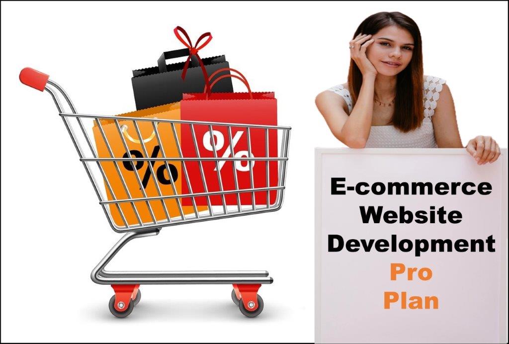professional ecommerce website development agency in Jackson Mississippi