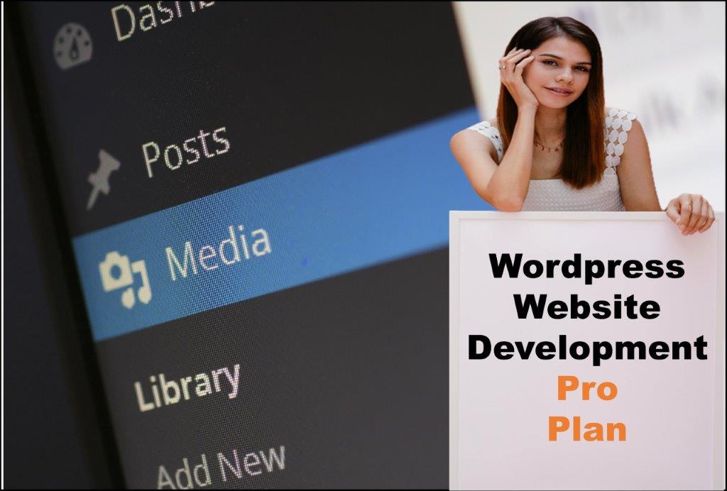 wordpress website designing in Jackson Mississippi